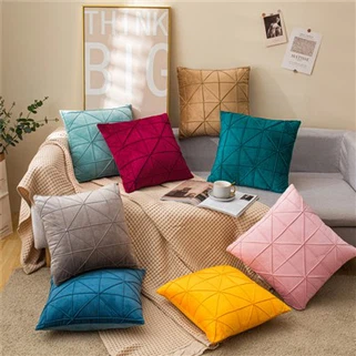 Housses de coussin en velours